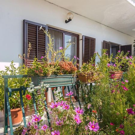Apartment Vinka Trogir Eksteriør billede